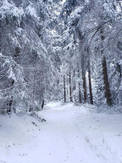 Wohnung Im Schoenen Fichtelgebirge มาร์คเตรดวิทซ์ ภายนอก รูปภาพ